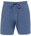NS727 Native Spirit Terry Towel Shorts Riviera blue colour image